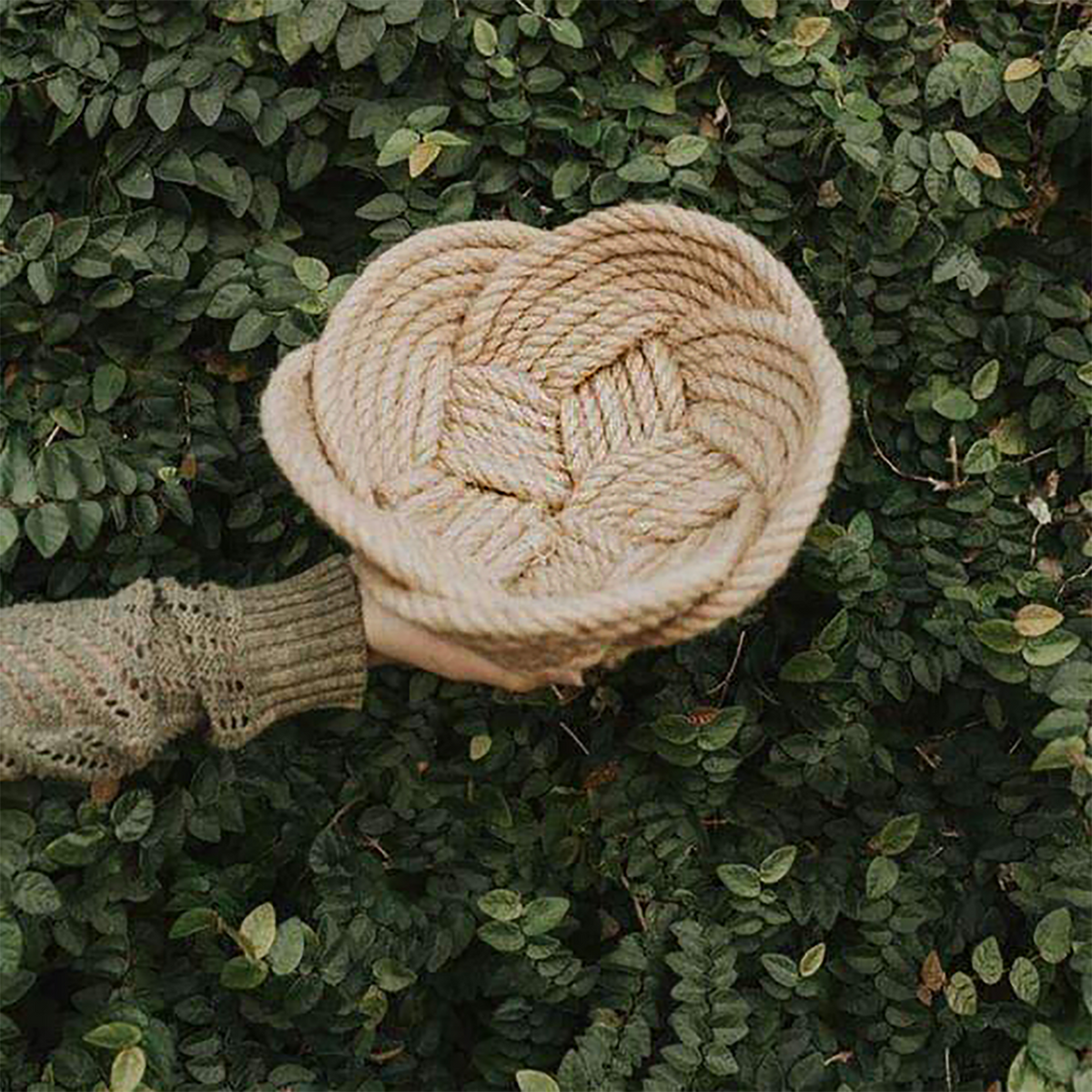 Hand holding a woven rope bowl against a green leafy background, eco-friendly storage basket